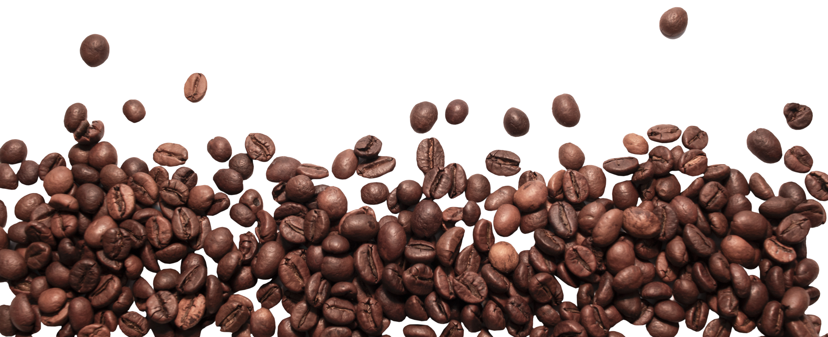 A scattering of dark roasted coffee beans spread across a white background, with some beans appearing to be falling or floating above the main group.