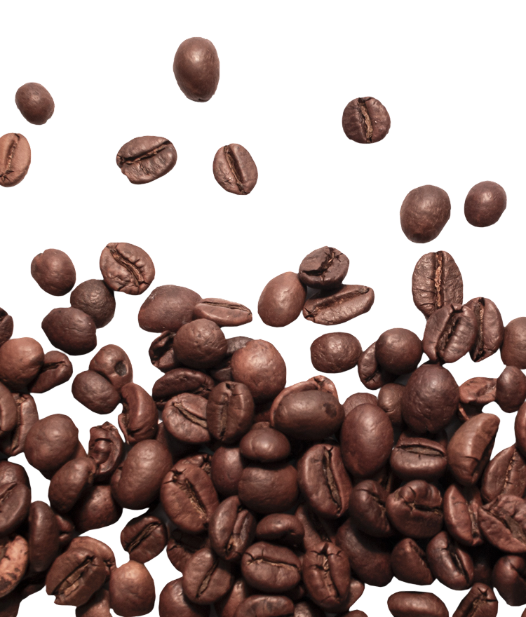 A scattering of dark brown roasted coffee beans is spread across a white background, with some beans appearing to fall or float above the main group.