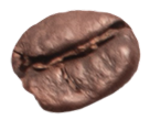 Close-up of a single roasted coffee bean on a white background, showing its rich brown color and textured surface.