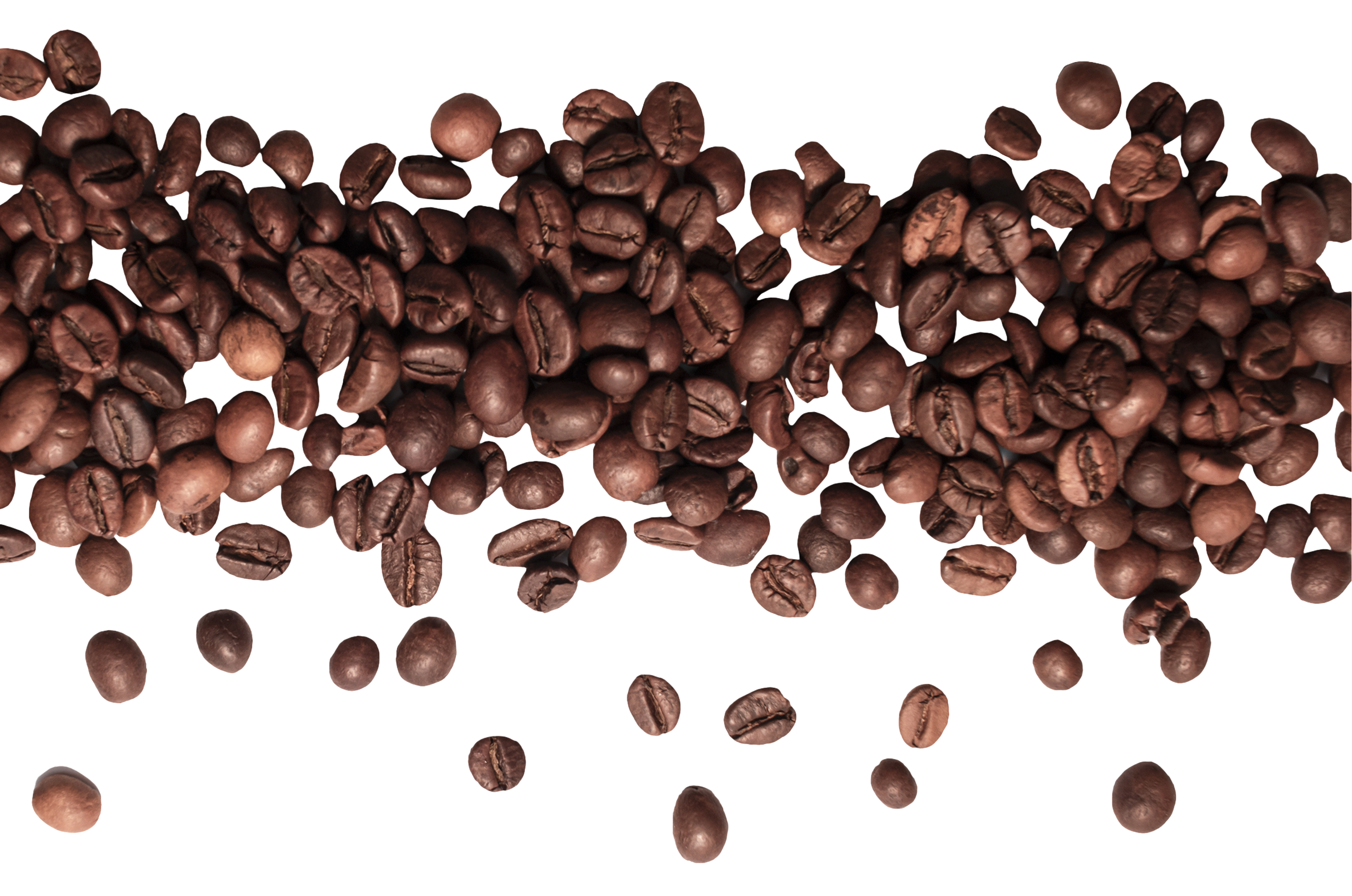 A scattered row of roasted coffee beans is spread across a white background, with some beans clustered together and others lying separately.