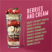 Berries & Cream Protein Smoothie.