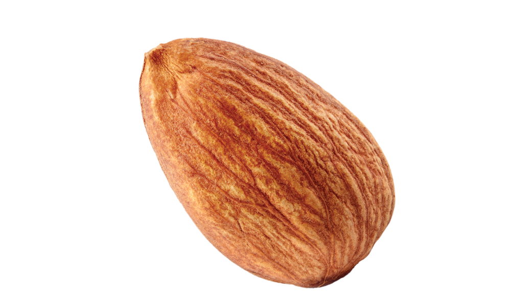 A close-up of a single whole almond with a brown, textured shell, set against a plain white background.