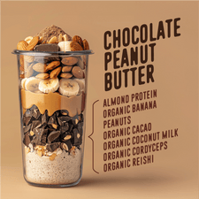 Plant-Based Chocolate Peanut Butter Protein Smoothie.