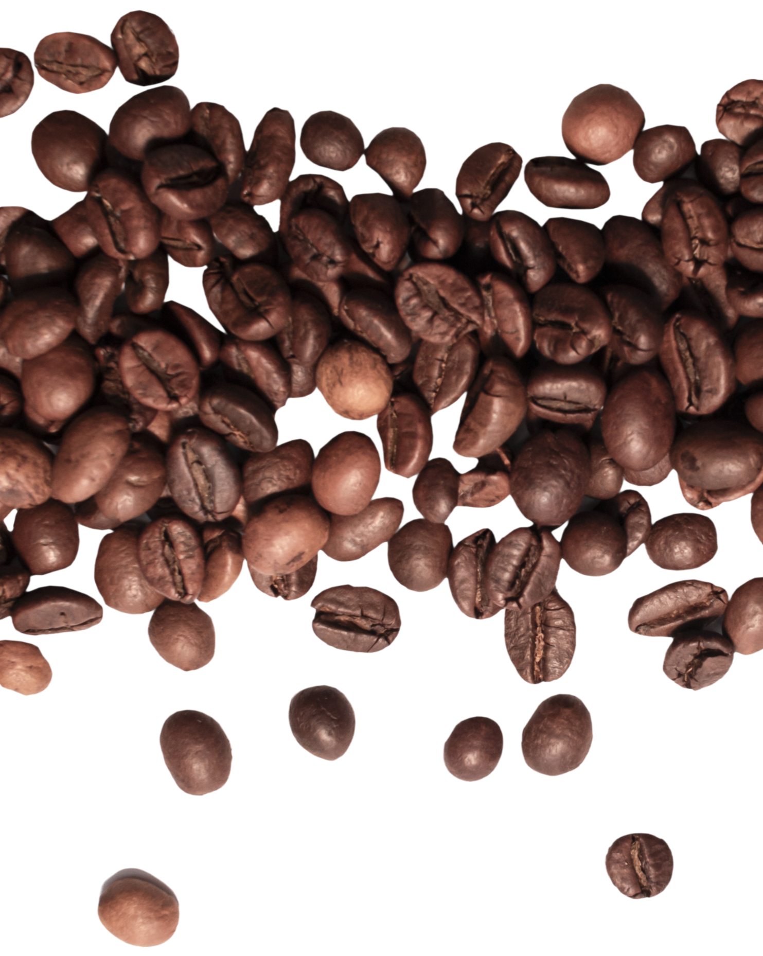 Scattered roasted coffee beans on a white background, creating a dynamic and textured pattern across the image.