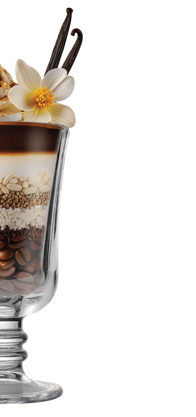 A glass parfait filled with layered coffee beans, sugar, seeds, and cream, topped with whipped cream, a vanilla flower, and two vanilla beans, against a white background.