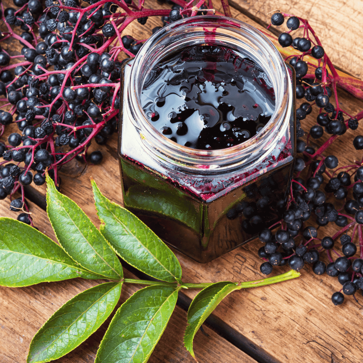 Blue berry in the jar.