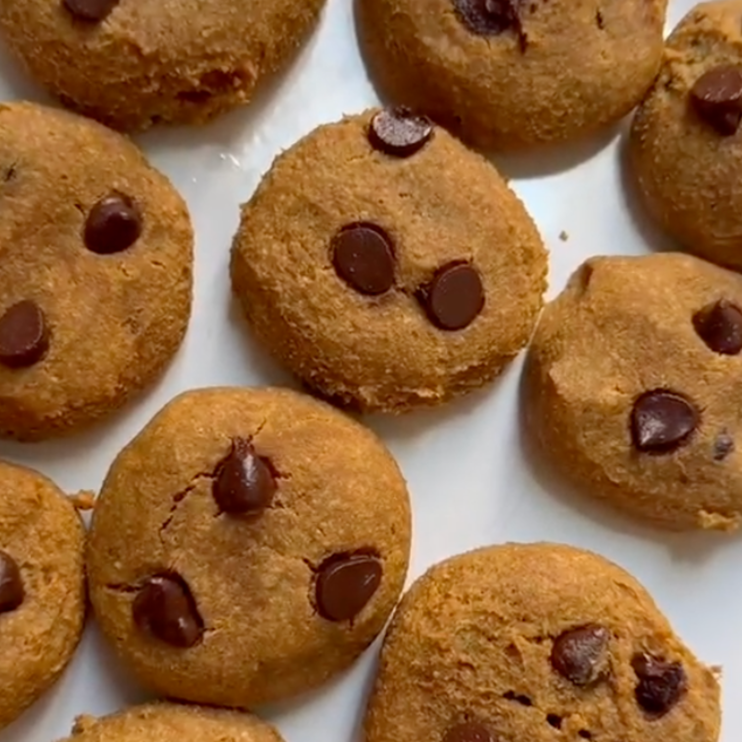 Pumpkin Spice Protein Cookies