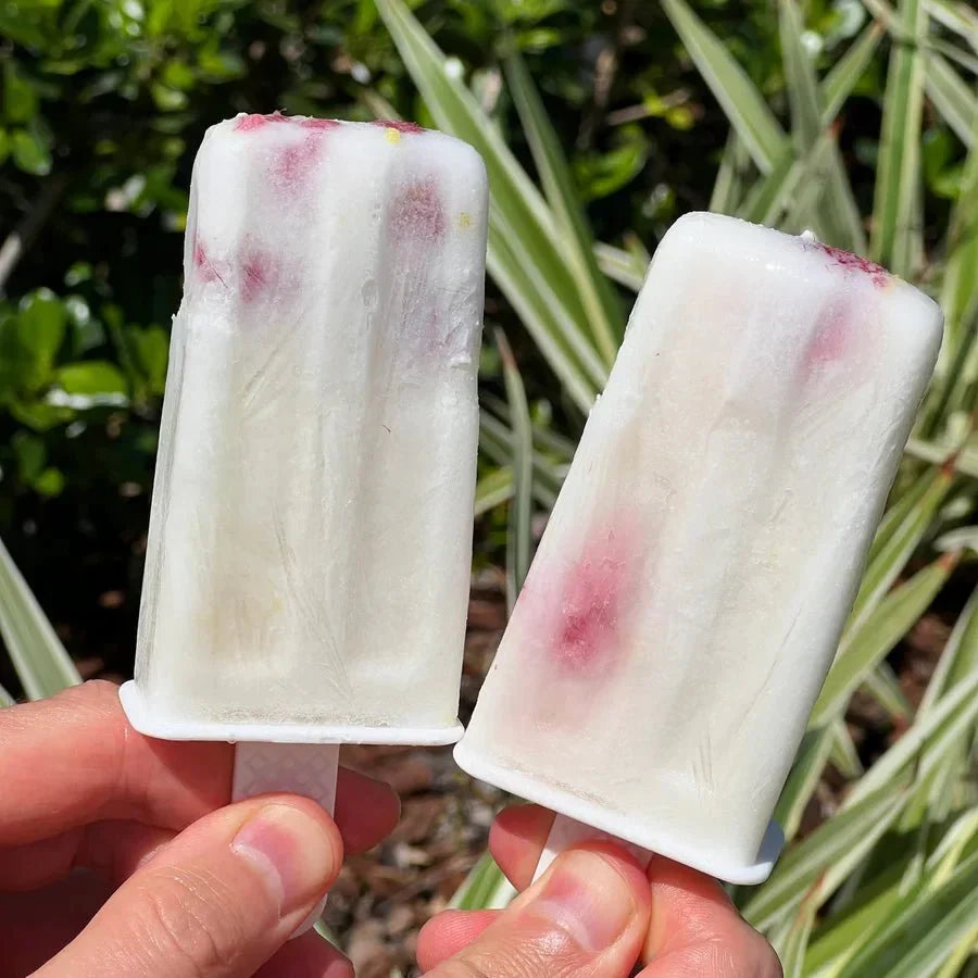 Lemonade Coconut Popsicles.