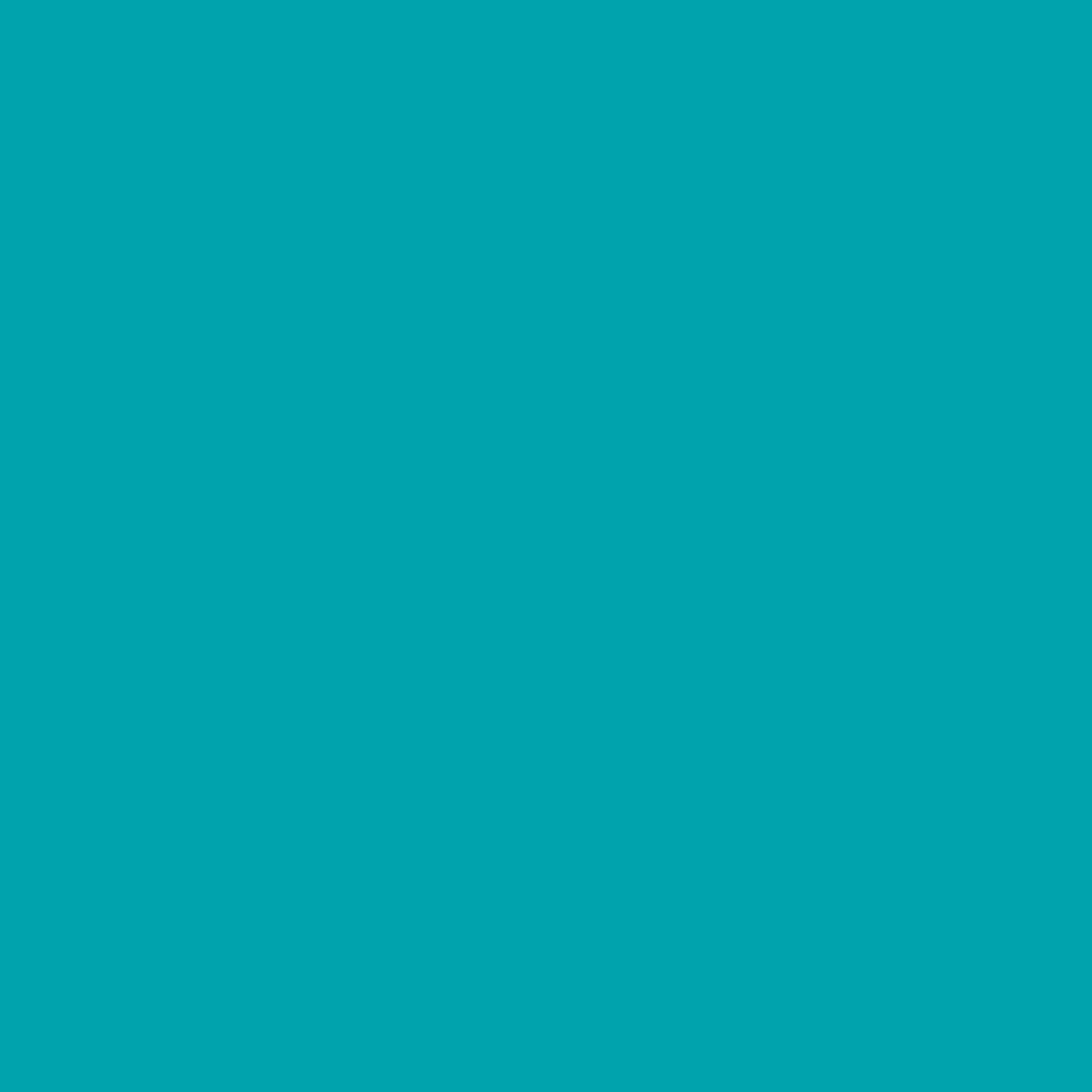 A solid teal-colored background with no visible patterns, objects, or text.
