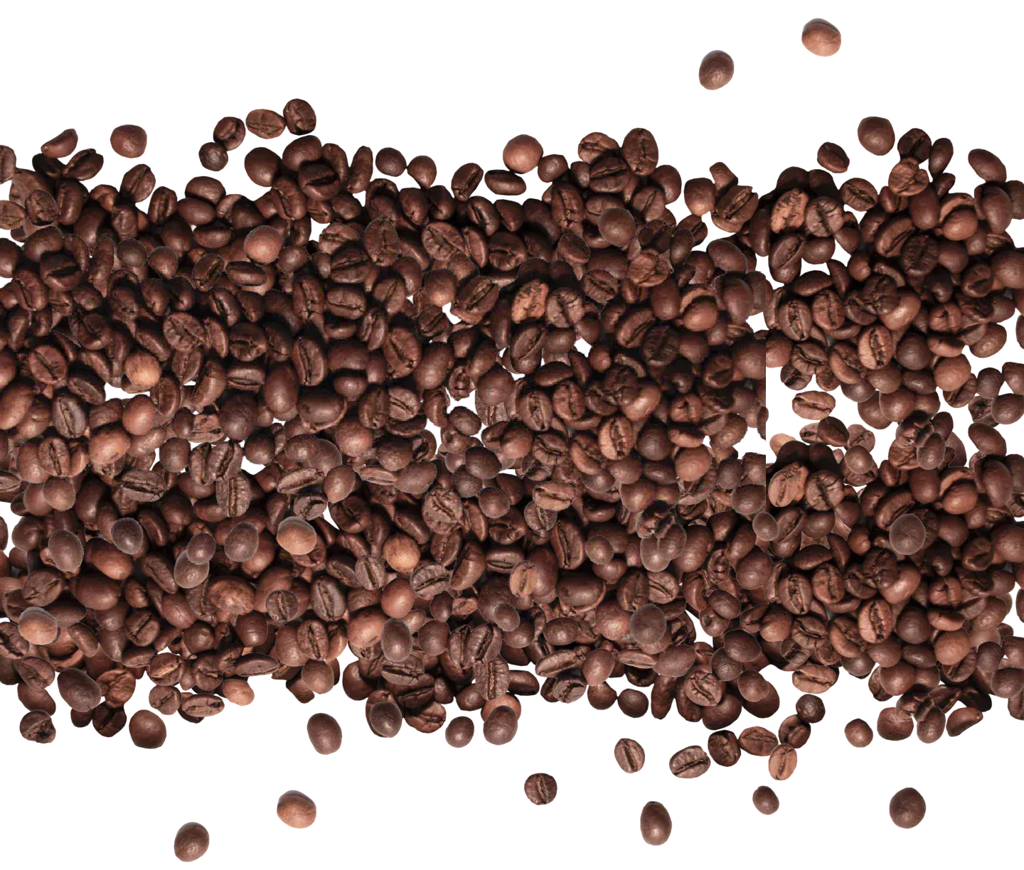 A horizontal row of scattered roasted coffee beans on a white background, with some beans spread above and below the main line.
