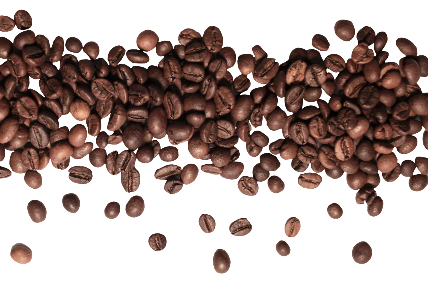 A scattered row of brown roasted coffee beans on a white background, with some beans falling or separated from the main cluster.