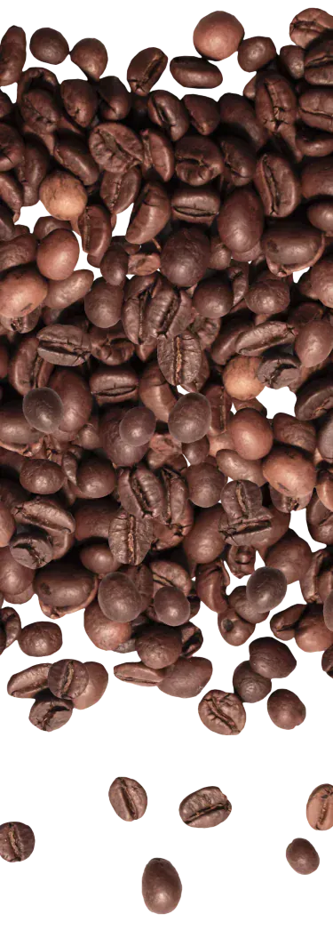 A close-up view of scattered roasted coffee beans on a white background.
