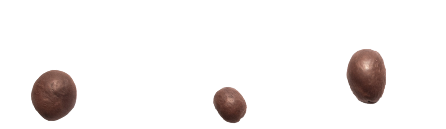 Three round chocolate balls of varying sizes are spaced apart on a plain white background.