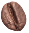 Close-up image of a single brown coffee bean on a white background, showing its textured surface and central groove.