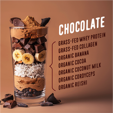 chocolate smoothie ingredients with a glass