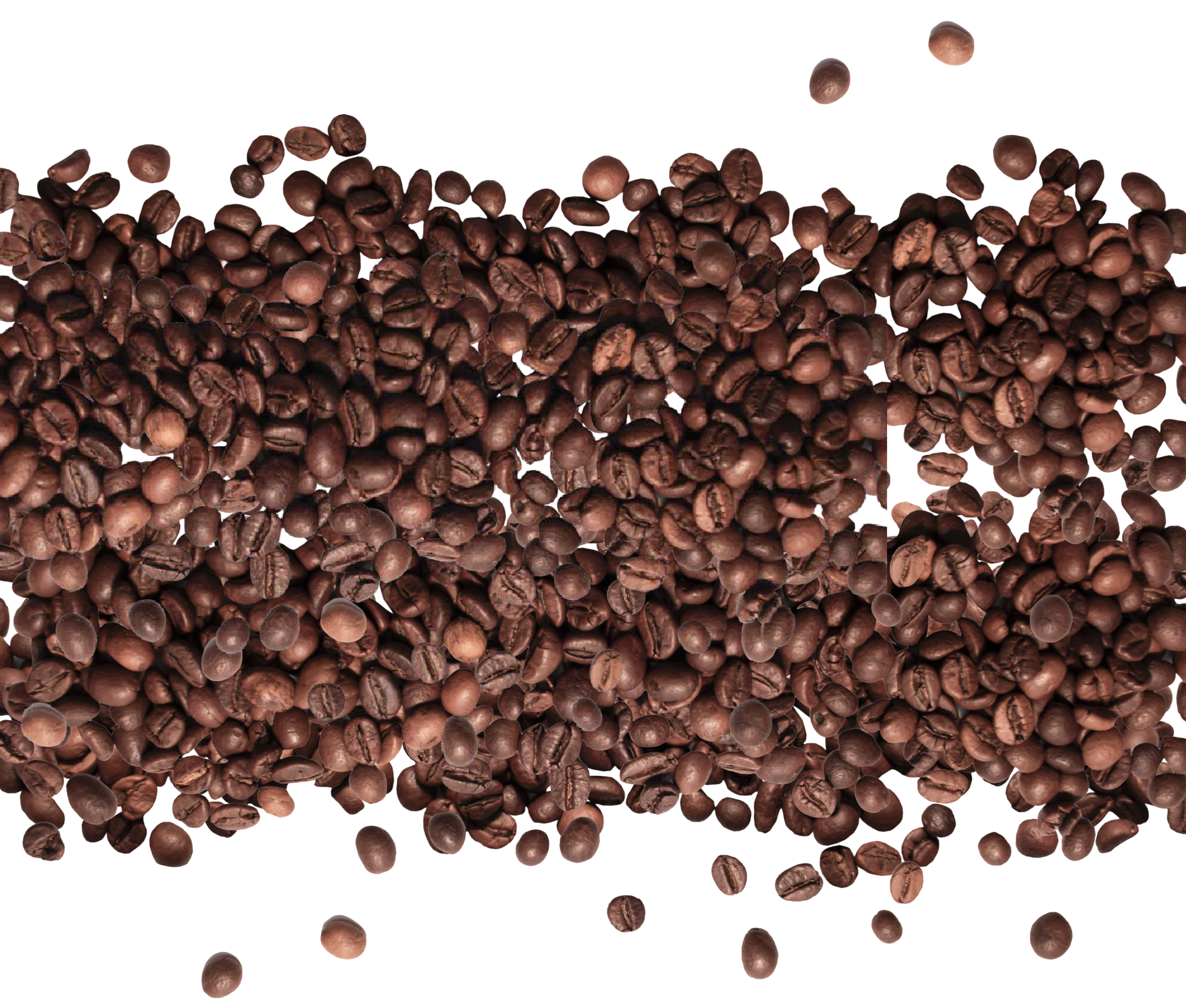 A large number of roasted coffee beans scattered horizontally across a white background, forming a dense, irregular band with some beans dispersed around the edges.
